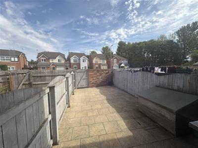 Picture 11